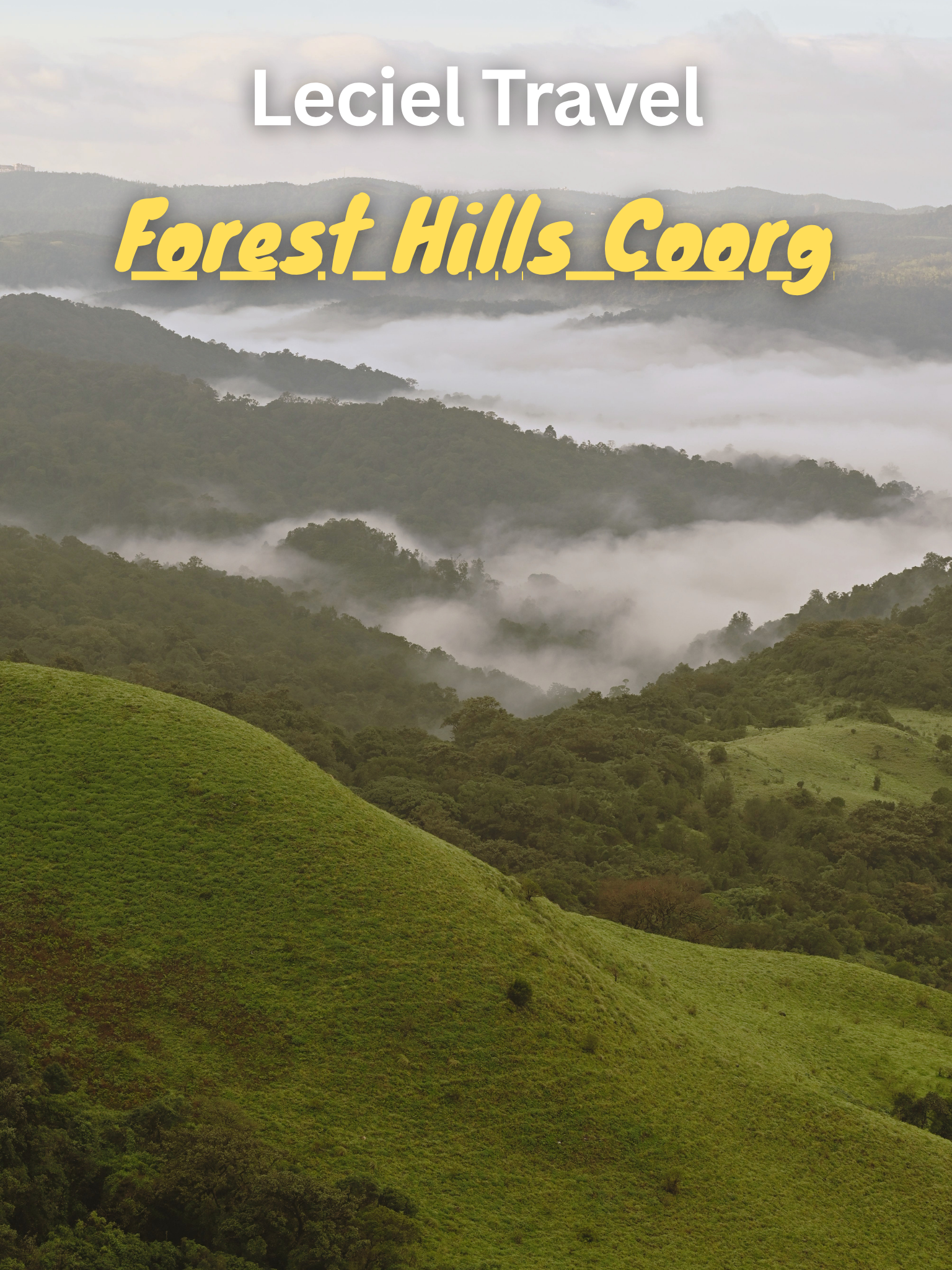Coorg coffee plantations and misty hills