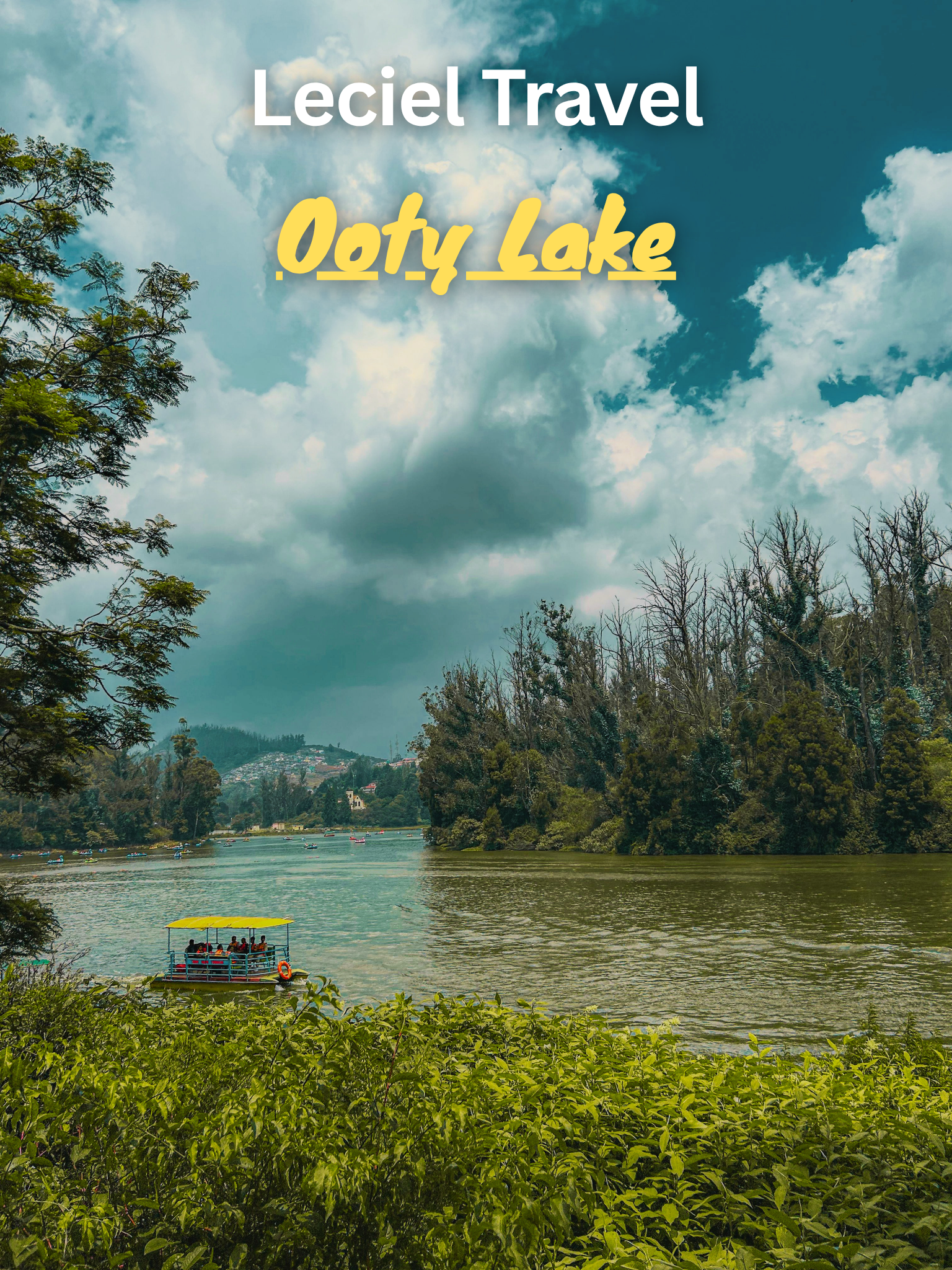 Ooty hill station and tea gardens